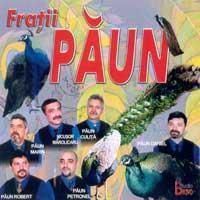 FRATII PAUN - FRATII PAUN 1. BATUTA DE LA DOLHASCA 2. BATUTA DE - Muzica poulara